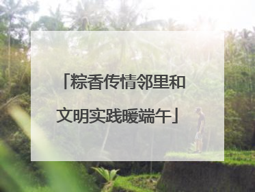 粽香传情邻里和 文明实践暖端午