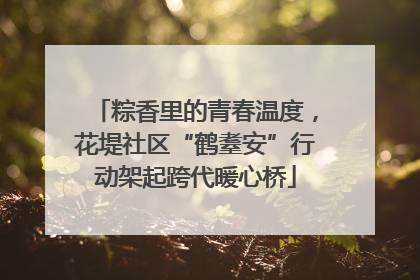 粽香里的青春温度，花堤社区“鹤耋安”行动架起跨代暖心桥