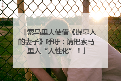 索马里大使借《掘墓人的妻子》呼吁：请把索马里人“人性化”！