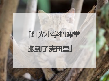 红光小学把课堂搬到了麦田里