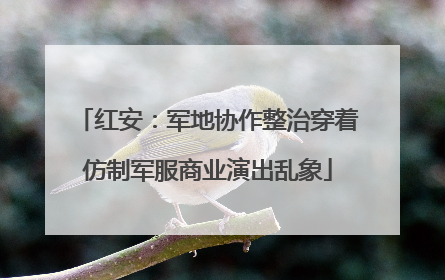 红安：军地协作整治穿着仿制军服商业演出乱象