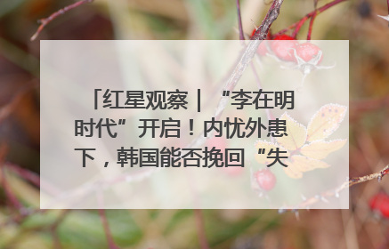 红星观察｜“李在明时代”开启！内忧外患下，韩国能否挽回“失去的三年”？