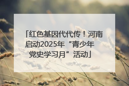 红色基因代代传！河南启动2025年“青少年党史学习月”活动
