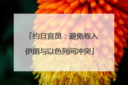 约旦官员：避免卷入伊朗与以色列间冲突