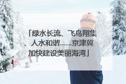 绿水长流、飞鸟翔集、人水和谐……京津冀加快建设美丽海湾