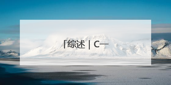 综述｜C一下，很长春