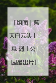 组图｜蓝天白云头上悬 烈士公园最出片