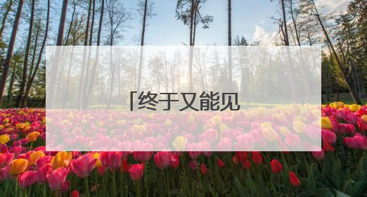 终于又能见到樊振东了