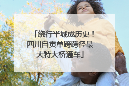 绕行半城成历史！四川自贡单跨跨径最大特大桥通车