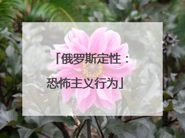 俄罗斯定性：恐怖主义行为
