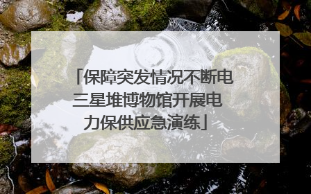 保障突发情况不断电 三星堆博物馆开展电力保供应急演练
