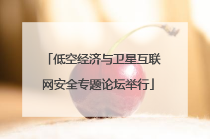 低空经济与卫星互联网安全专题论坛举行