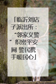 临沂刘店子派出所：“邻家义警”织密平安网 警民携手暖民心