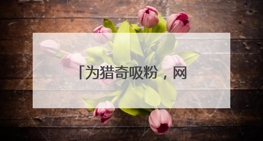为猎奇吸粉，网络主播直播战斗机起降引来间谍！正要直播某新型战机试飞时……