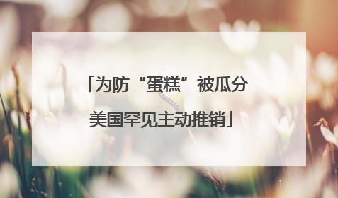 为防“蛋糕”被瓜分 美国罕见主动推销