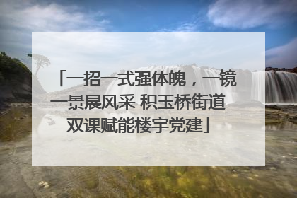 一招一式强体魄，一镜一景展风采 积玉桥街道双课赋能楼宇党建