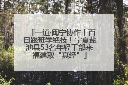 一道·闽宁协作丨百日跟班学绝技！宁夏盐池县53名年轻干部来福建取“真经”
