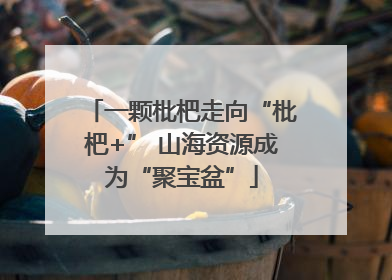 一颗枇杷走向“枇杷+” 山海资源成为“聚宝盆”