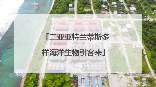 三亚亚特兰蒂斯多样海洋生物引客来