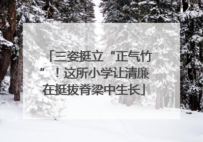 三姿挺立“正气竹”！这所小学让清廉在挺拔脊梁中生长
