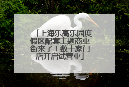上海乐高乐园度假区配套主题商业街来了！数十家门店开启试营业