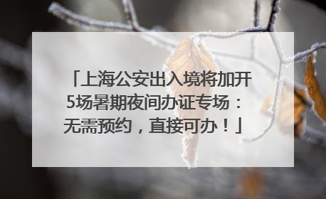 上海公安出入境将加开5场暑期夜间办证专场：无需预约，直接可办！