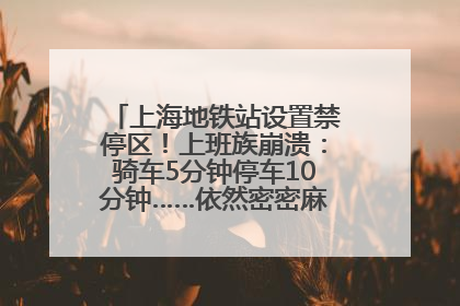 上海地铁站设置禁停区！上班族崩溃：骑车5分钟停车10分钟……依然密密麻麻无从下脚？