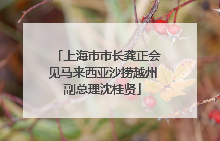 上海市市长龚正会见马来西亚沙捞越州副总理沈桂贤