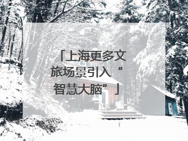 上海更多文旅场景引入“智慧大脑”