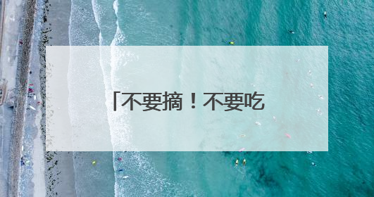 不要摘！不要吃！杭州街头正大量出现紫叶李