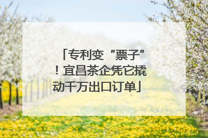 专利变“票子”！宜昌茶企凭它撬动千万出口订单