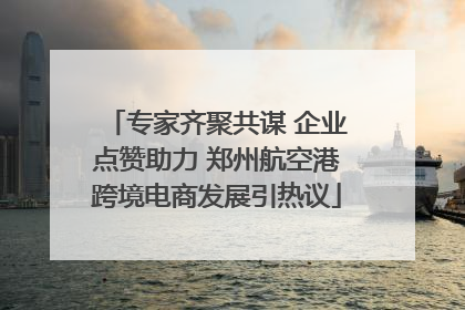 专家齐聚共谋 企业点赞助力 郑州航空港跨境电商发展引热议