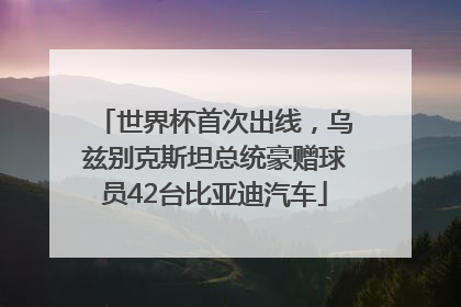 世界杯首次出线，乌兹别克斯坦总统豪赠球员42台比亚迪汽车