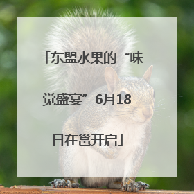 东盟水果的“味觉盛宴”6月18日在邕开启