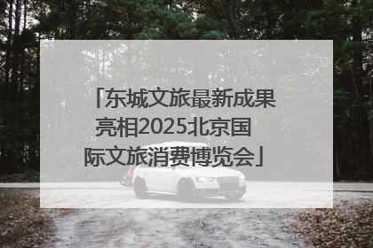 东城文旅最新成果亮相2025北京国际文旅消费博览会
