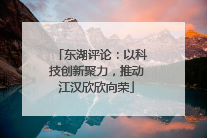 东湖评论：以科技创新聚力，推动江汉欣欣向荣