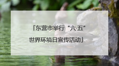 东营市举行“六·五”世界环境日宣传活动