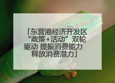 东营港经济开发区“政策+活动”双轮驱动 提振消费能力 释放消费潜力