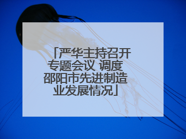 严华主持召开专题会议 调度邵阳市先进制造业发展情况