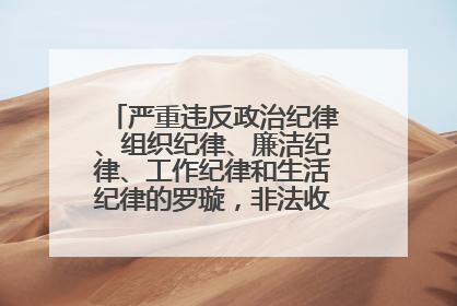严重违反政治纪律、组织纪律、廉洁纪律、工作纪律和生活纪律的罗璇，非法收受他人巨额财物