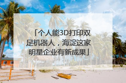 个人能3D打印双足机器人，海淀这家明星企业有新成果