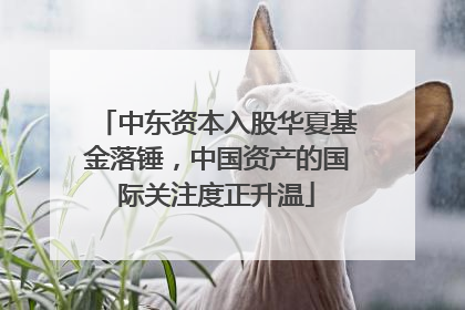 中东资本入股华夏基金落锤，中国资产的国际关注度正升温