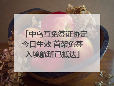 中乌互免签证协定今日生效 首架免签入境航班已抵达