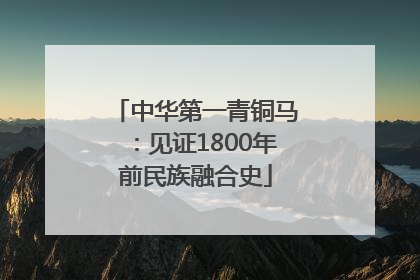 中华第一青铜马：见证1800年前民族融合史