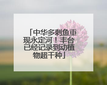 中华多刺鱼重现永定河！丰台已经记录到动植物超千种
