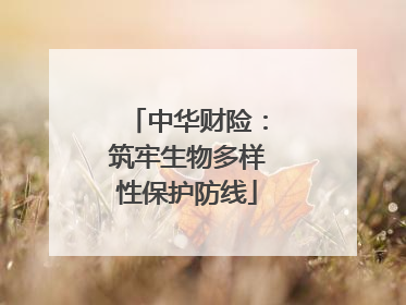 中华财险：筑牢生物多样性保护防线