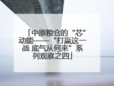 中原粮仓的“芯”动能——“打赢这一战 底气从何来”系列观察之四