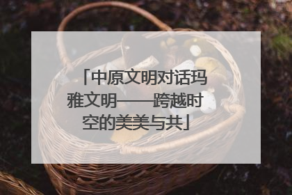 中原文明对话玛雅文明——跨越时空的美美与共