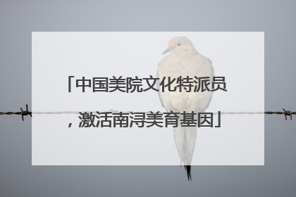 中国美院文化特派员，激活南浔美育基因