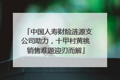 中国人寿财险涟源支公司助力，十甲村黄桃销售难题迎刃而解